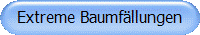 Extreme Baumf�llungen